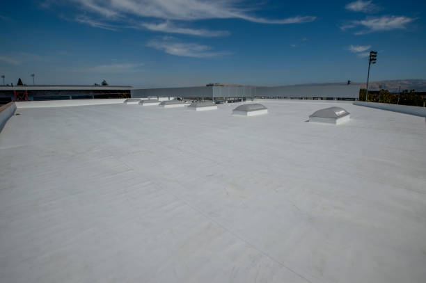 Best Solar Panel Roofing Installation  in Nesquehoning, PA