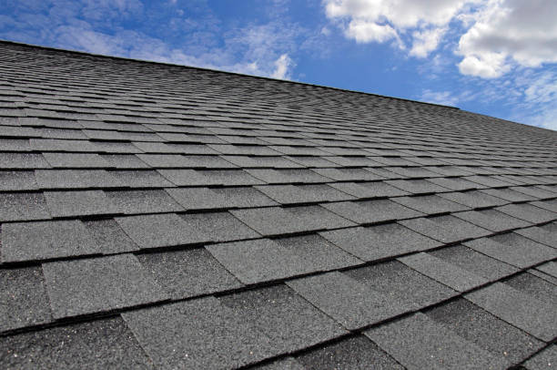 Best Roof Leak Repair  in Nesquehoning, PA