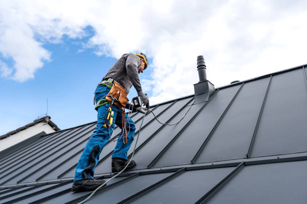 Best Roof Maintenance and Cleaning  in Nesquehoning, PA