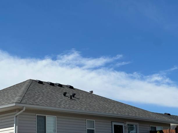 Best Hot Roofs  in Nesquehoning, PA